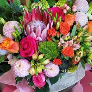 Meet your Posher, Talia